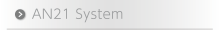 AN21 System