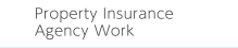 Property Insurance Agency Work