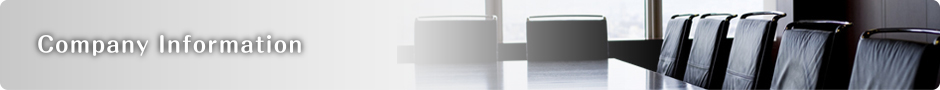 Company Information